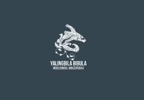 Yalingbila Bibula