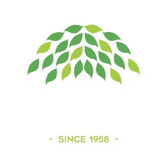 Committee for Brisbane logo