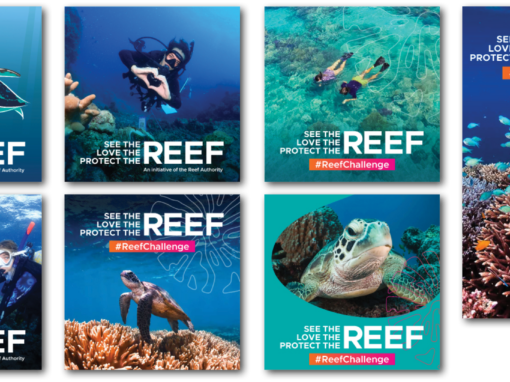 Love the reef 01