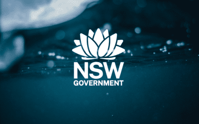 NSW Department of Planning, Industry and Environment Water Group – Engagement Policy and Framework Review