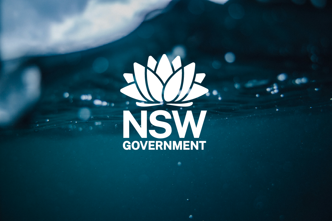 NSW_Water Group